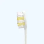 Classic Family Toothbrush - Image 4